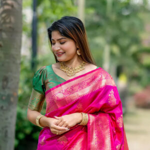 Traditional saree