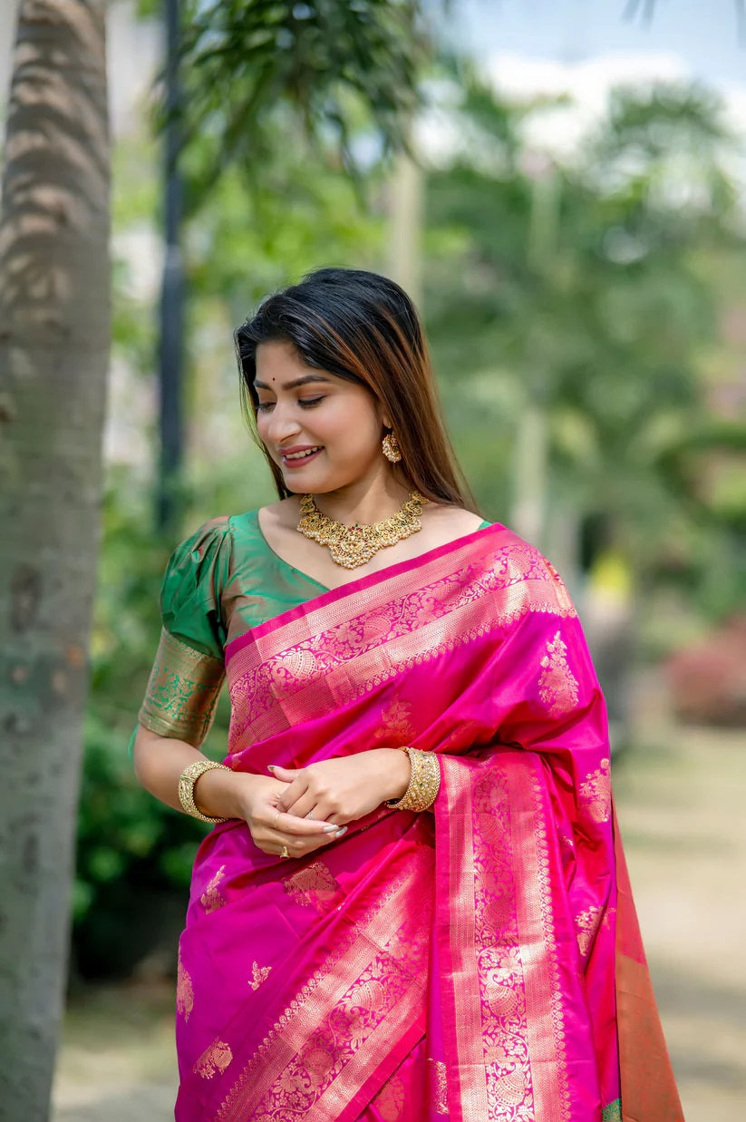 Traditional saree