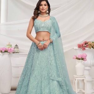 New Design Net Lehenga
